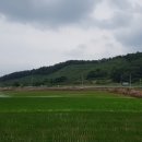 창녕농장 이미지