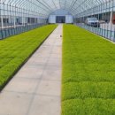 청산농업협동조합 이미지