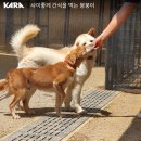 기다림수학
