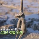 사강식당 이미지