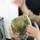 킨즈헤나 네이버블로그