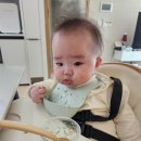 광포로또복권 | 2024. 2. 17.(토) 울진 동치골, 삼척 원덕 카페 노아, 울진 근남 땅땅치킨 배달