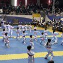 연세월드태권도 이미지