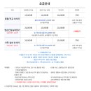 GS25 홍천점 | 홍천 꽁꽁축제, 실제로 찾아본 주차 대중교통 준비물 정리