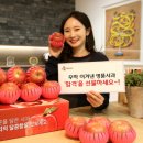 헬로마케팅 이미지