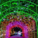 별빛랜드 이미지