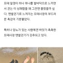 earthing (어싱,접지)에 대하여.. 이미지