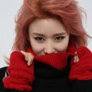 데일리딜라잇 이미지