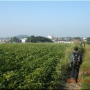 삼기주유소 이미지