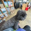 해남동물병원 이미지