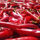 사내농장 이미지