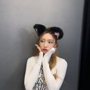 하이엘 이미지