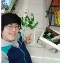 아이러뷰