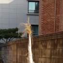 경춘주방그릇