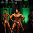 선샤인피티샵 이미지