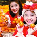 예쁘죠 이미지