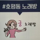 궁유흥주점 네이버블로그