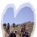 바래봉길 이미지