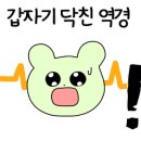 미도리키친 이미지