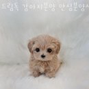 지에스25 송파잠실점 이미지