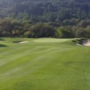 웰리힐리 컨트리클럽 이미지