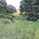 전원 부동산 중개인 사무소 이미지