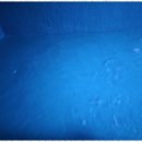 안산서비스 | 안산청소 풍성환경 청소 서비스 후기