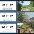 일신민박 이미지