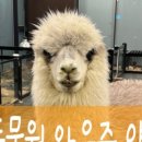 와우쥬 양산점 이미지