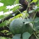 서현농장 이미지