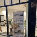 릴러스(Reelers) 이미지