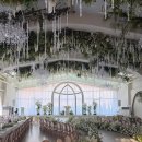 중앙-11(시청 건물 뒷편 출입구) | [트리웨딩] 당일 계약 후기 | 청주 하우스 웨딩 (단독홀) | 트리웨딩 vs 아르떼웨딩 vs 홀리데이코티지...