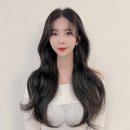 라본헤어 부산점