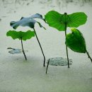 자연의 순환 이미지