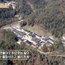 상판소나무숲 이미지