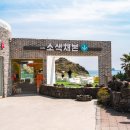 광명사 | 제주여행 서귀포 가볼만한곳 산방산 유채꽃 명소 소색채본 화순리 후기