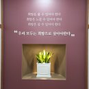 푸른 마가렛