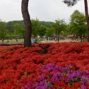 광복70주년 "대한민국 임시정부 발자취 사진전" (대청문화전시관) 이미지