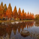 푸른어린이공원 공원화장실 이미지