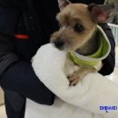 까미마린 네이버블로그