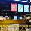 원더트위스트
