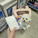 팜라임약국 | 펫코팜실제사용후기 내돈내산 넥스가드구입