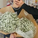 💍 W11. 웨딩촬영 부케 후기 | 공덕 꽃집 720b 추천