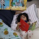 시창작 입문 | 3세 유아전집 창작동화 시기 추천 그레이트북스 춤추는 포포