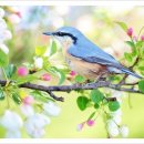 푸른봄한의원 이미지