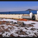 구구농장 이미지