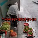 할머니야채 - 이천시 서희로88번길 9-2 | 할머니야채