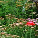 인터넷활용 이미지