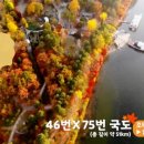 오드래산방