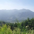 정법한의원 이미지